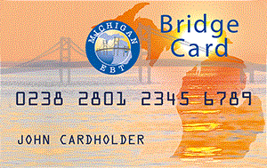 Bridge card
