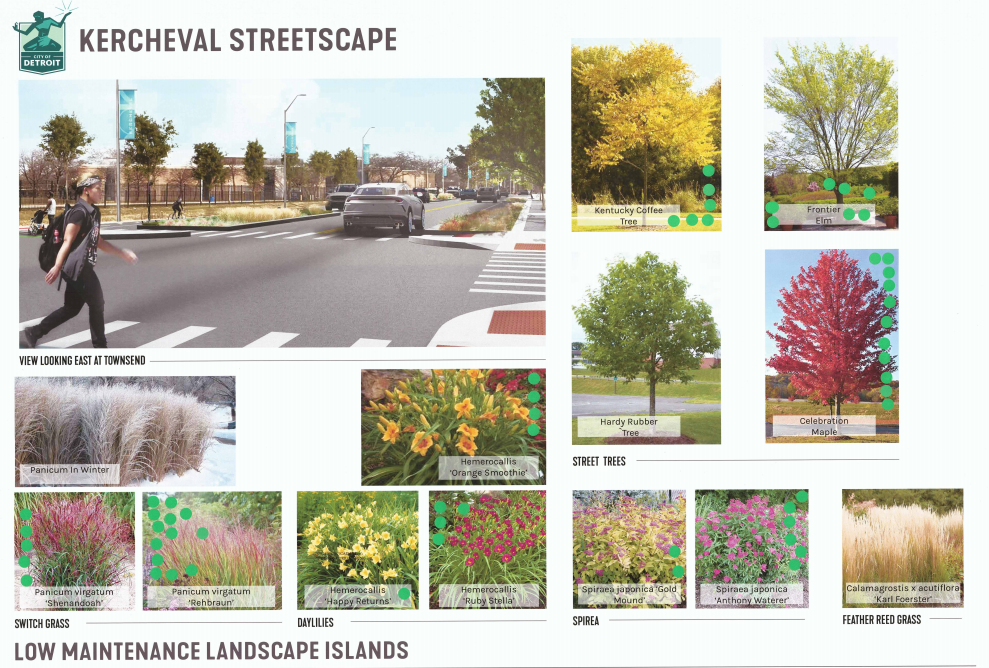 Kercheval Streetscape Project Community Meeting March 19 Boards 2