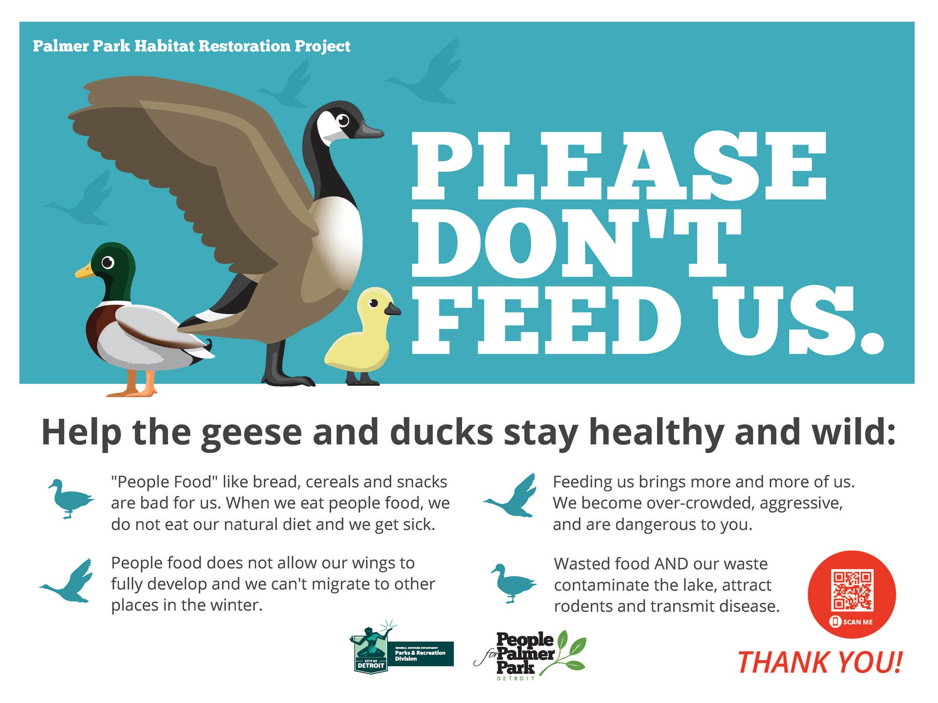 Geese and Ducks Sign