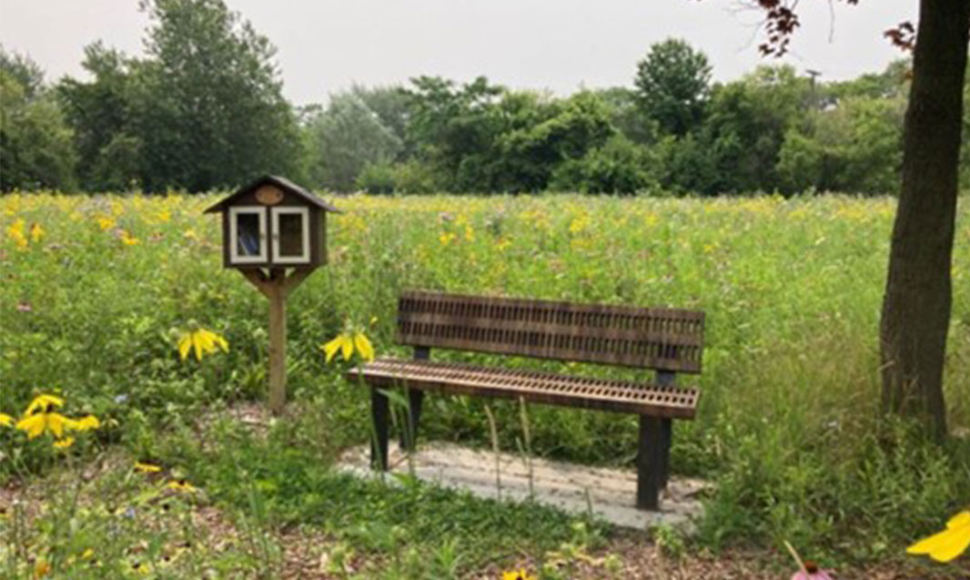 Meadows