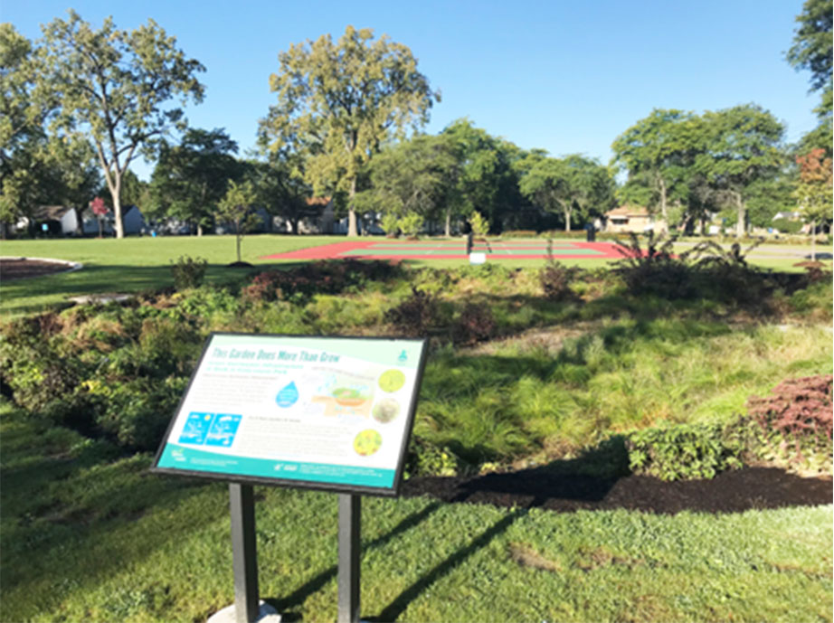 Rain Gardens