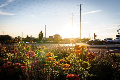 Intro Climate Strategy