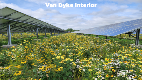 5 Solar Neighborhoods pic4