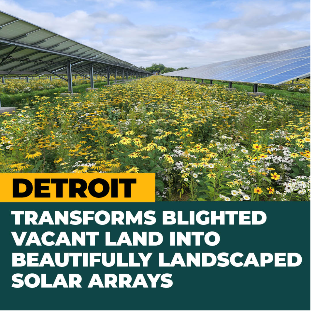 Solar Neighborhood groundbreaking