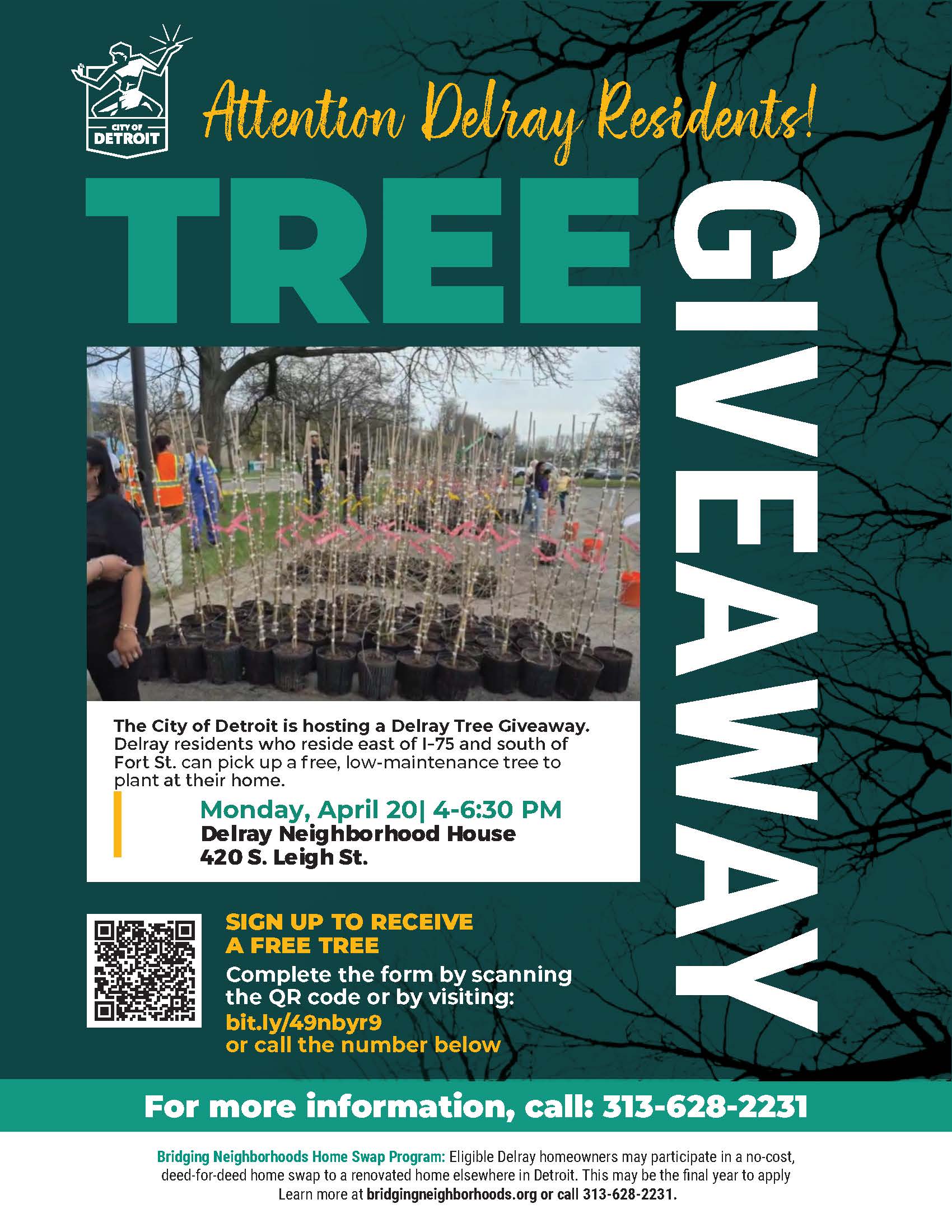 Delray Tree Giveaway