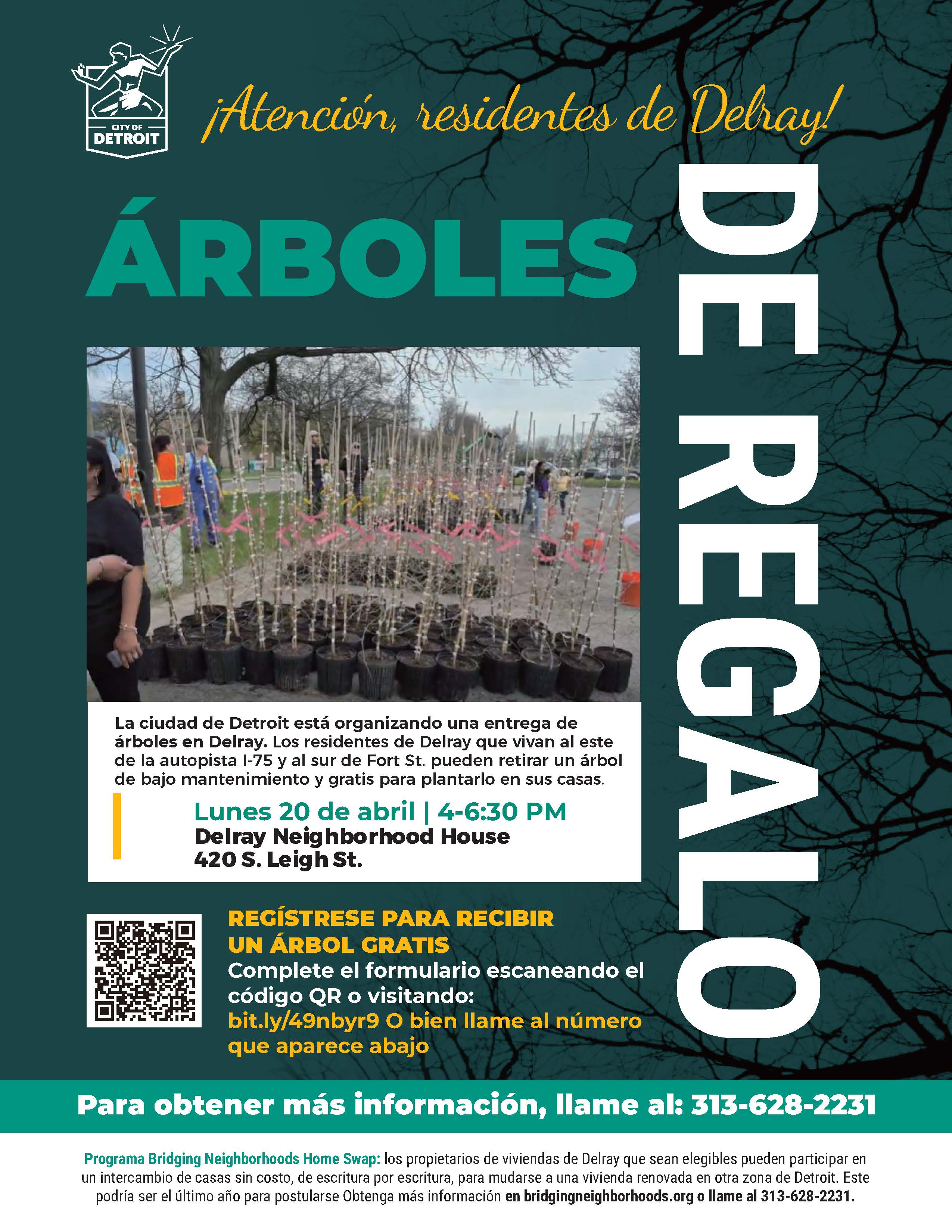 Spanish Delray Tree Giveaway