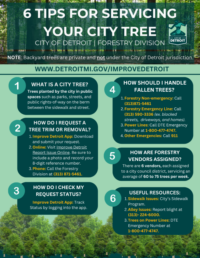 Forestry Servicing Tips