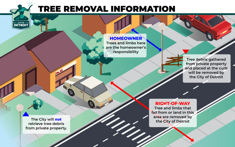 Forestry Berm Information