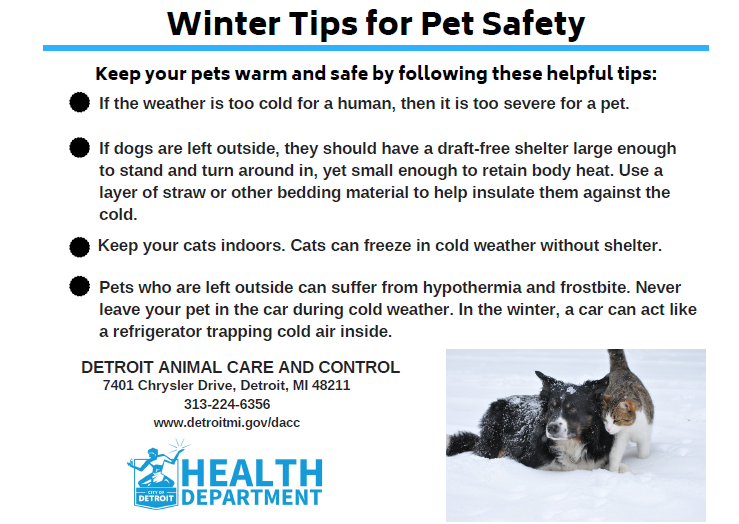 Detroit Animal Care and Control Winter Pet Safety Tips | City of Detroit