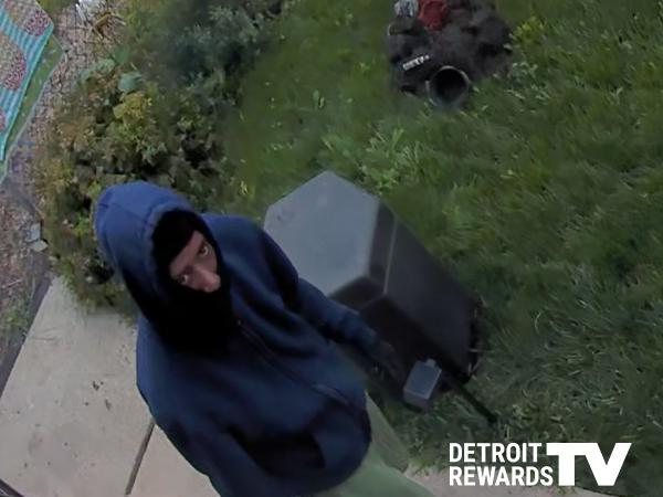 Home Invasions on Webb, Chicago, West Greendale, and Caely Streets
