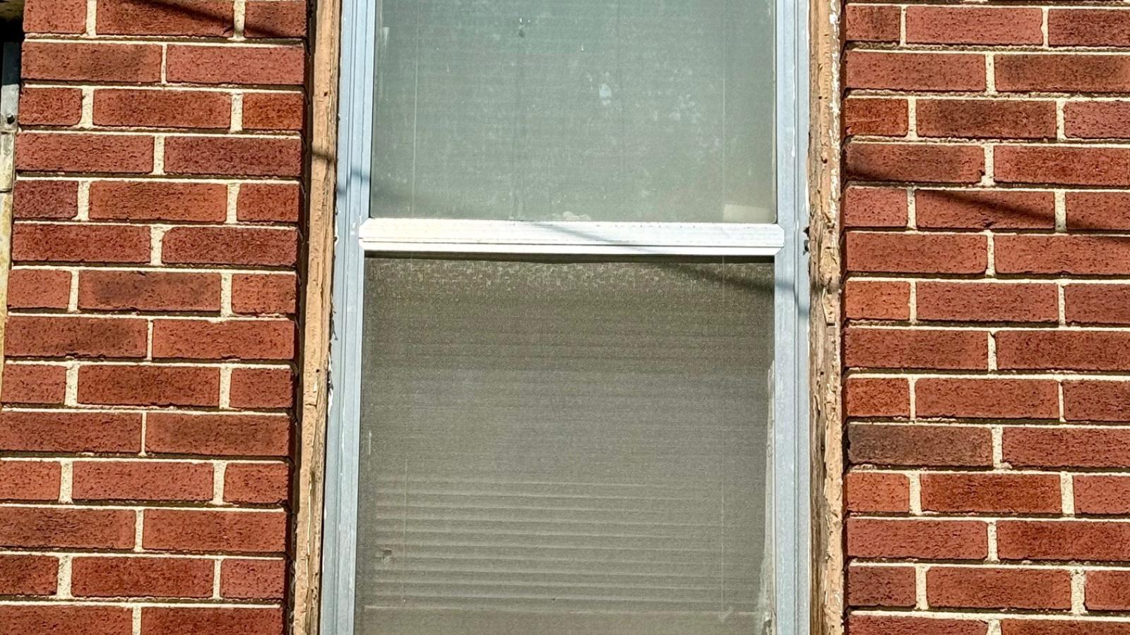 South side window