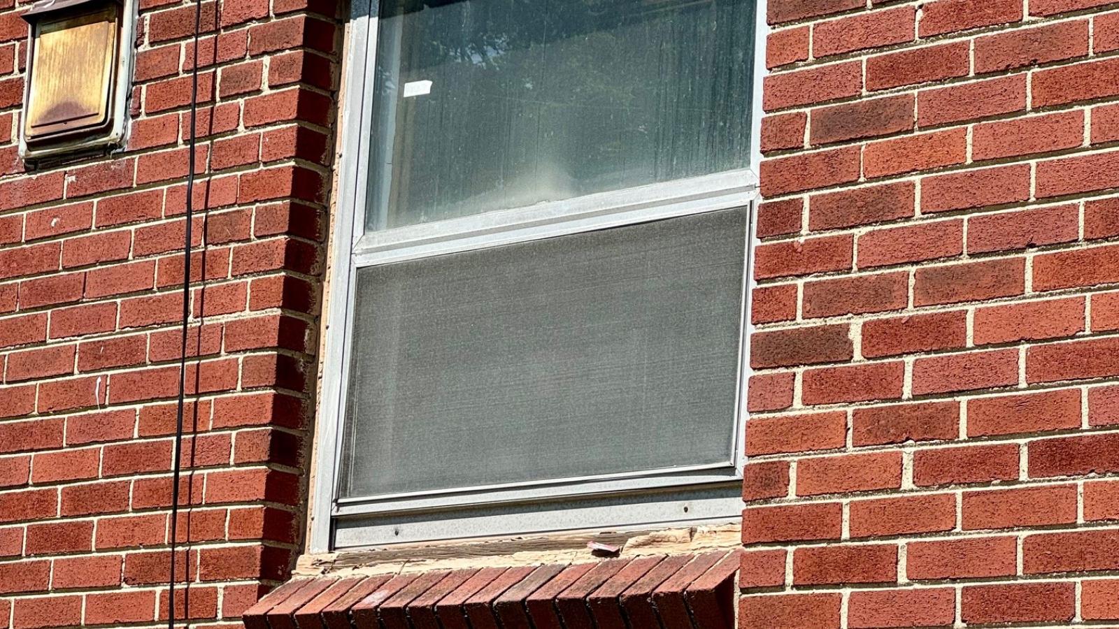 South side window